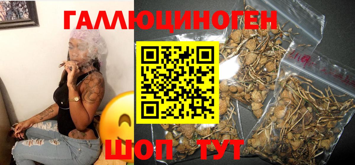 Галлюциногенные грибы MAGIC MUSHROOMS  Вход с VPN  магазин  наркотиков  Усть-Илимск 